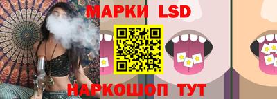 mdpv Кингисепп