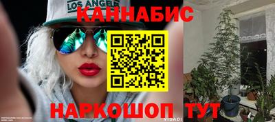 индика Кимры