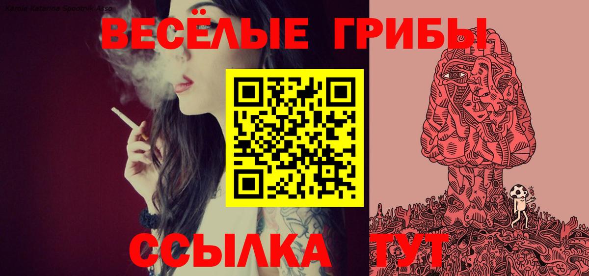 Кашира  Псилоцибиновые грибы ЛСД  продажа наркотиков  Вход с VPN 
